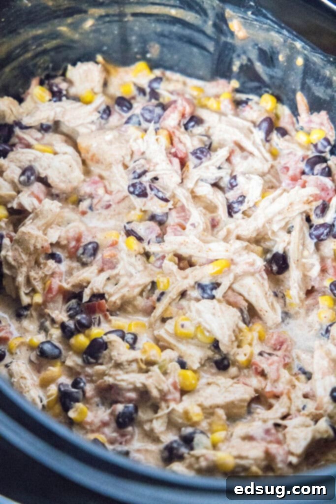 Creamy, shredded fiesta chicken simmering in the crockpot after cooking, with melted cream cheese and vibrant vegetables.