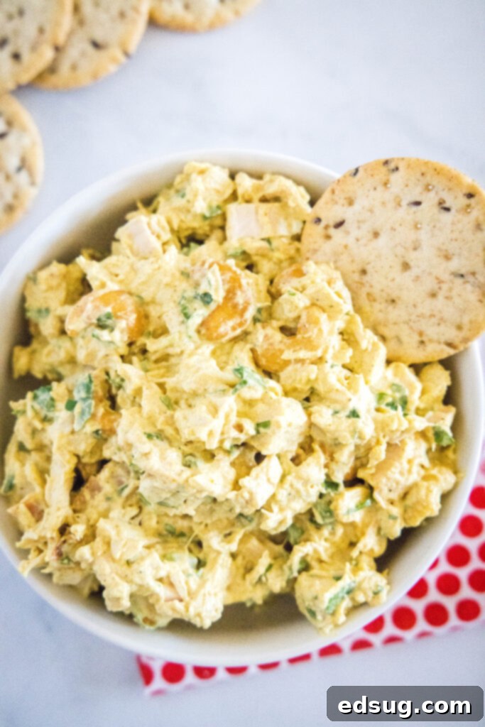 Overhead view of a beautiful bowl of curry chicken salad.