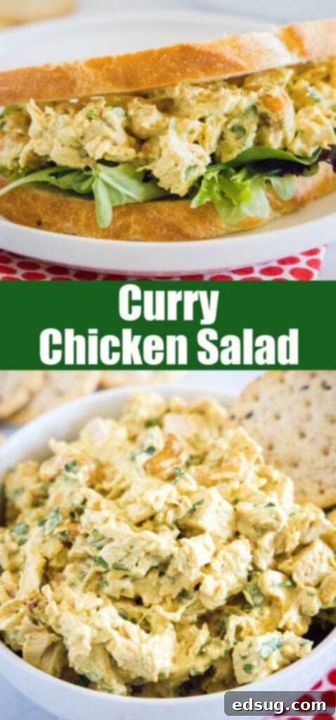 Close-up of curry chicken salad, ideal for social media sharing.