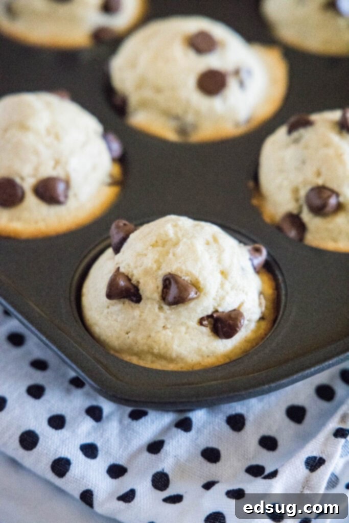 A muffin tin filled with freshly baked, golden-brown Bisquick muffins, just out of the oven.