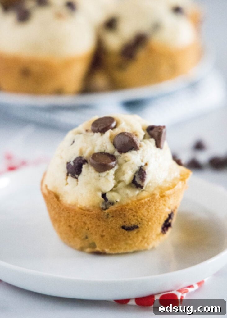 A single chocolate chip Bisquick muffin on a white plate, showcasing its soft interior and melted chocolate.