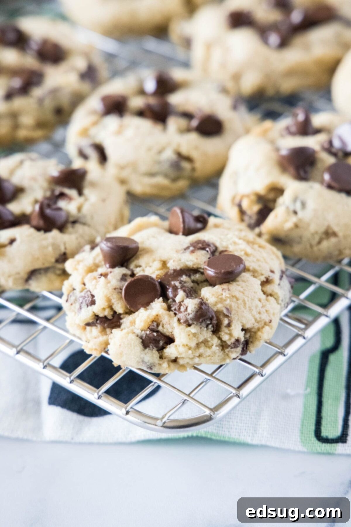 Close up of perfectly baked cream cheese chocolate chip cookies cooling on a wire rack.