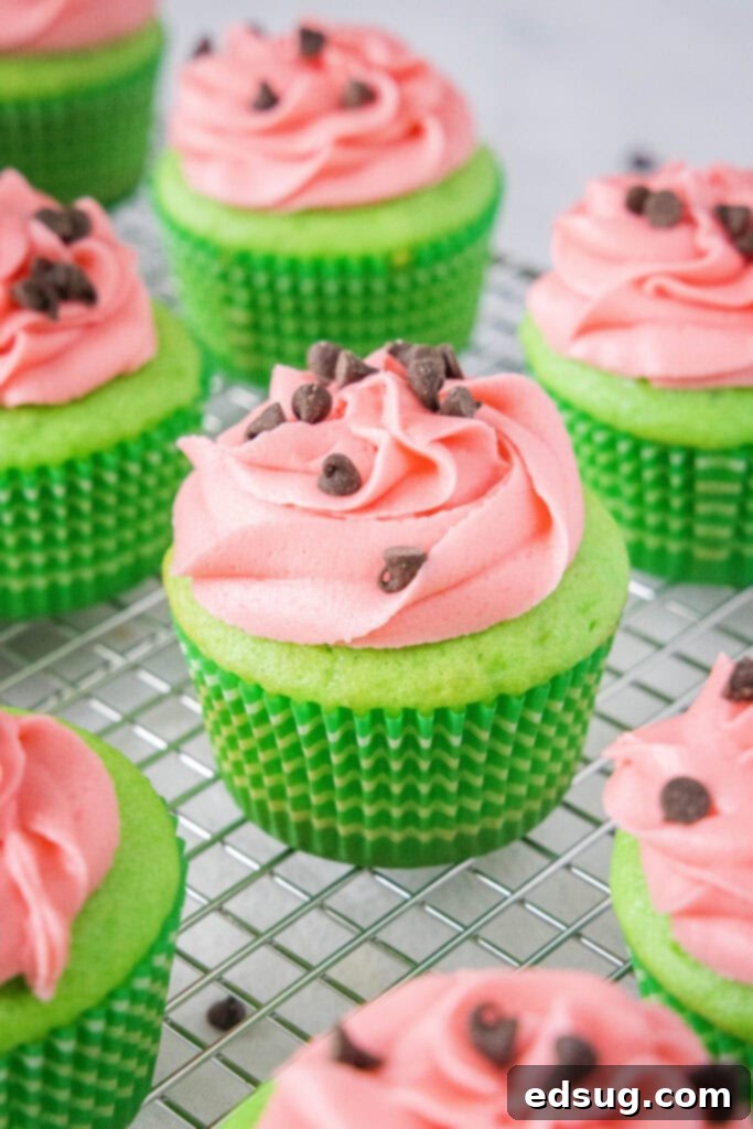 Watermelon Cupcakes 2 Green cupcakes with pink watermelon frosting and mini chocolate chip 'seeds' arranged on a cooling rack, ready to be enjoyed.
