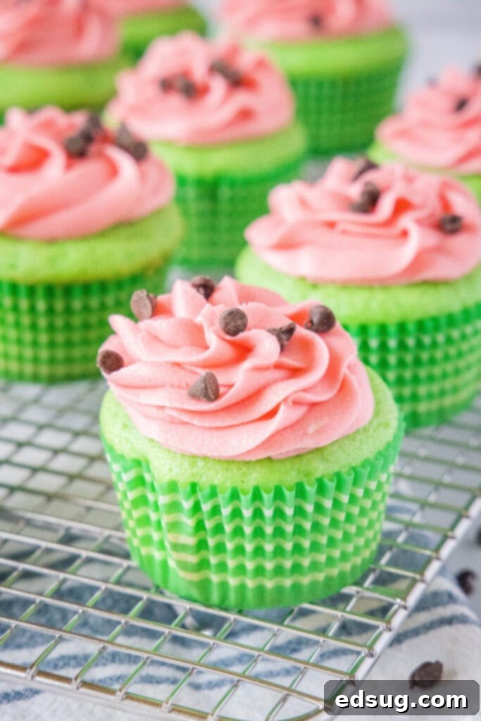 Watermelon Cupcakes 5 Freshly decorated watermelon cupcakes, complete with green cake, pink frosting, and chocolate chip seeds, arranged on a metal cooling rack.