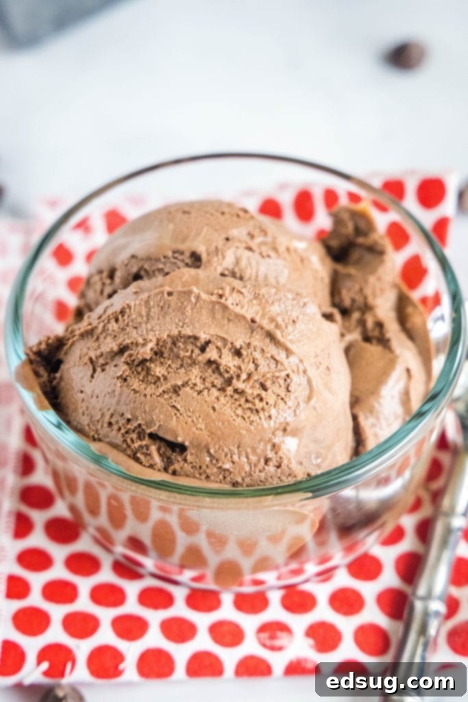 A bowl filled with generous scoops of rich, creamy homemade chocolate ice cream, garnished with chocolate shavings.