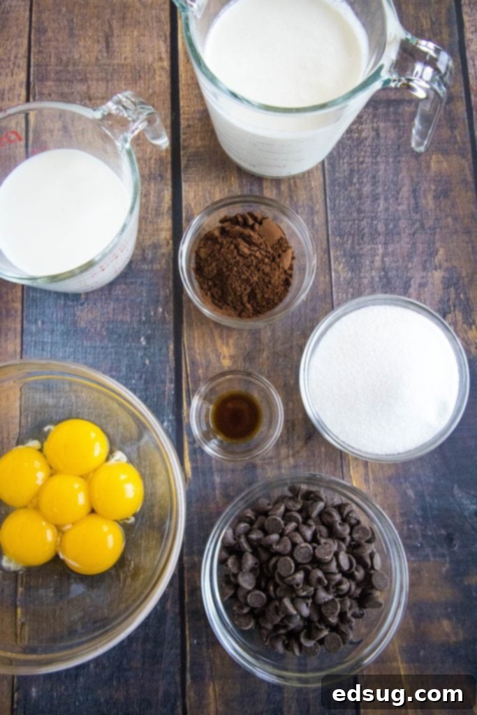 Essential ingredients laid out for making homemade chocolate ice cream: heavy cream, milk, sugar, cocoa powder, chocolate chips, vanilla, and eggs.