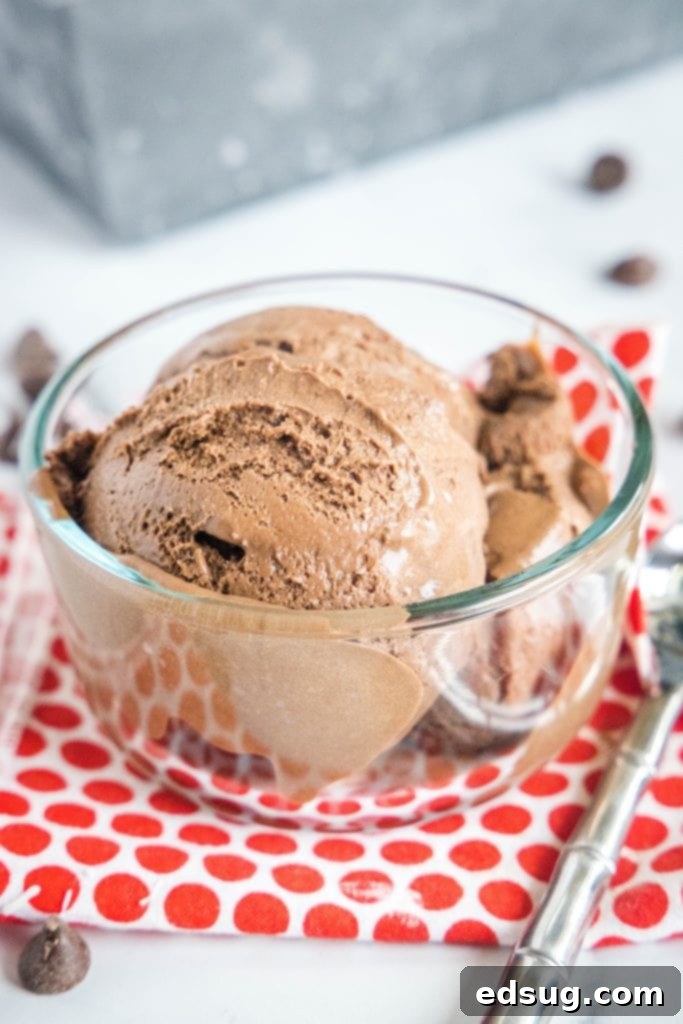 A charming bowl of homemade chocolate ice cream with a small, elegant spoon, ready for tasting.