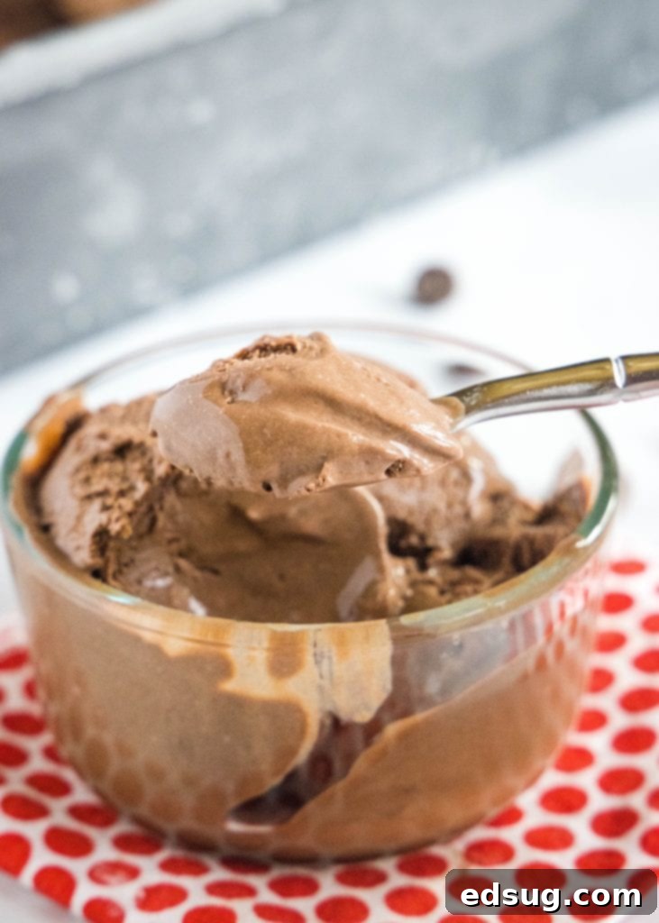 A close-up of a spoonful of dark, creamy chocolate ice cream, highlighting its smooth texture.