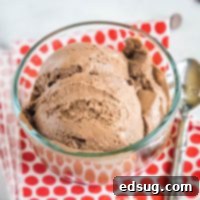 Close up of scoops of luscious homemade chocolate ice cream in a bowl.