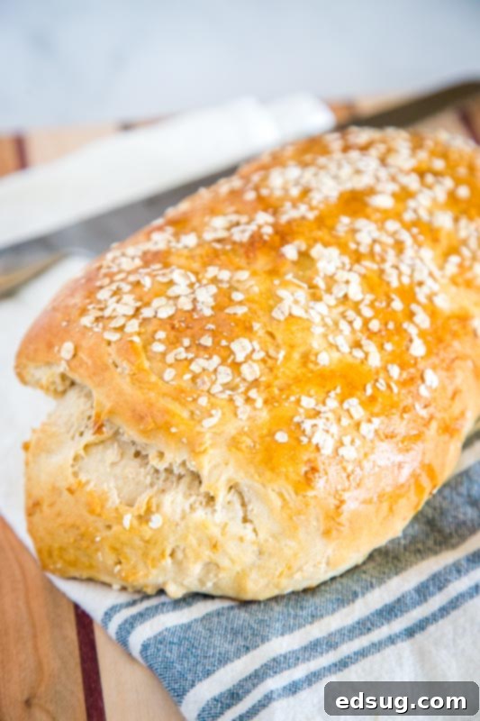 Homemade No Knead Bread with honey at oats