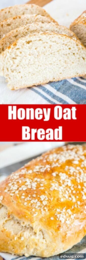 Honey Oat Bread - a soft and tender bread with oats and sweet honey. This is an easy no-knead bread that is great for toast, sandwiches, or even with soup for dinner.