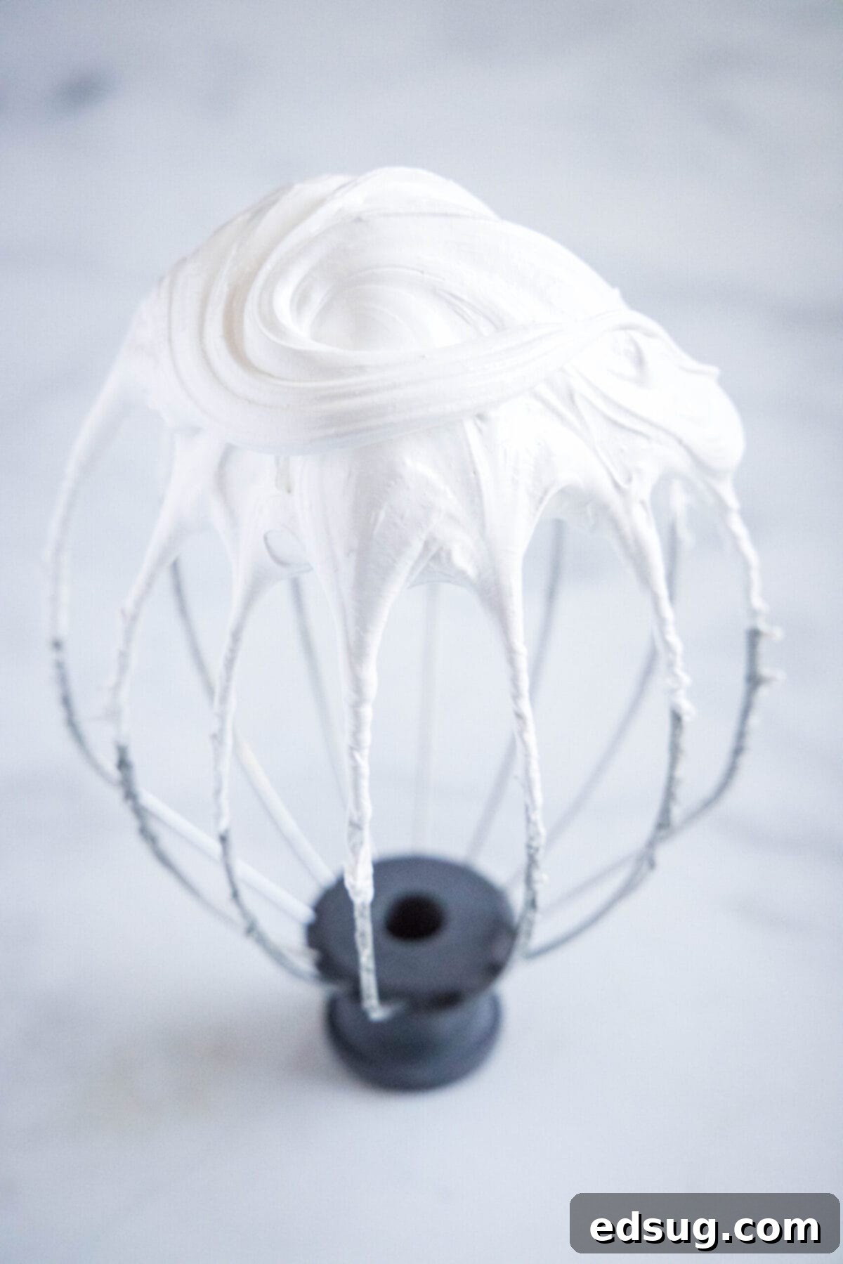 This easy homemade marshmallow fluff recipe is creamy, pillowy, packed with vanilla flavor, and so much more tasty than the store-bought kind. Close up of a stand mixer whisk attachment with soft peaks of egg whites, a crucial intermediate step in making fluffy marshmallow cream.