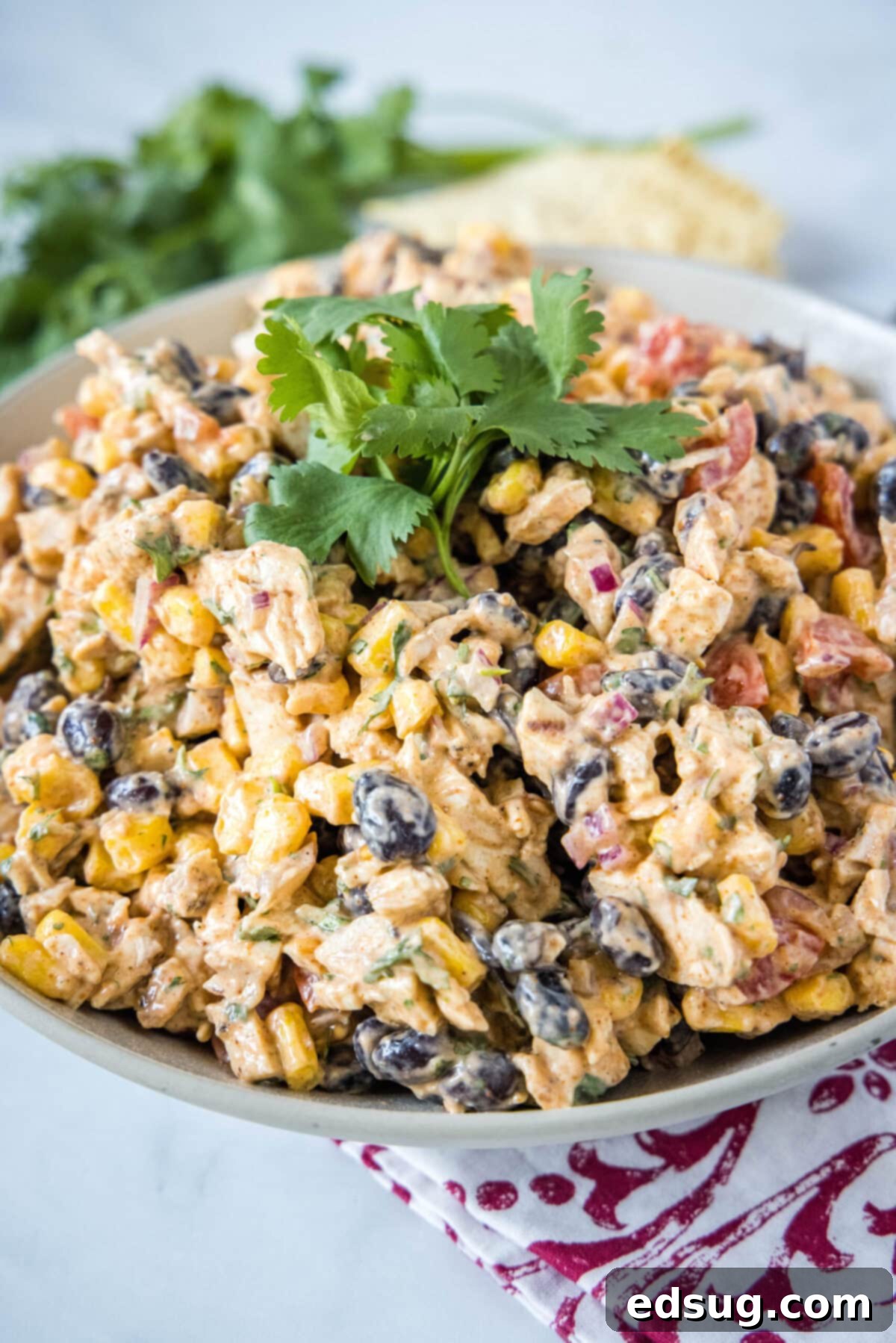 Close up of a bowl of southwest chicken salad topped with cilantro