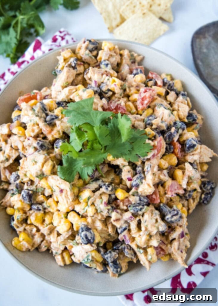 Overhead view of a bowl of chicken salad with tomatoes, corn, and beans, topped with cilantro