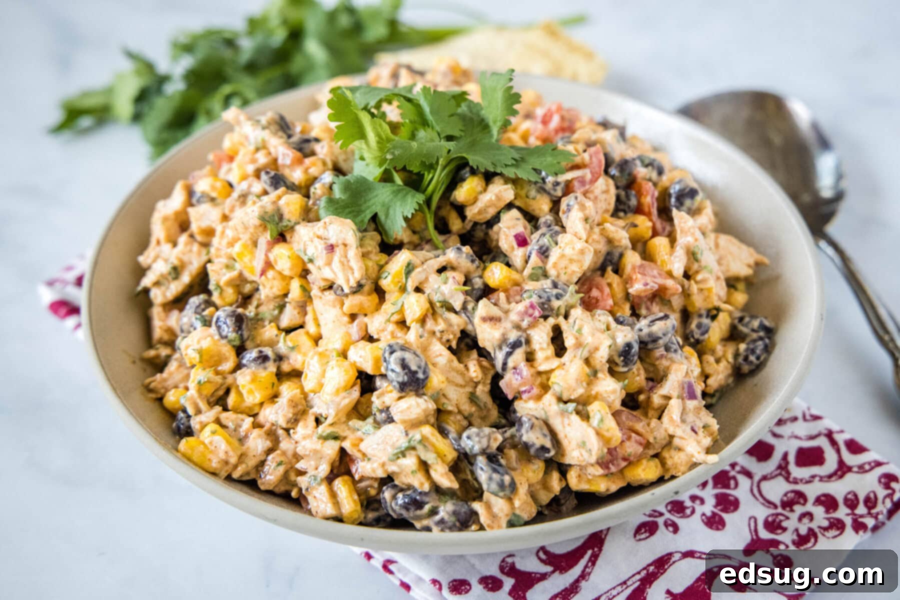 A bowl of southwest chicken salad topped with cilantro, next to a spoon