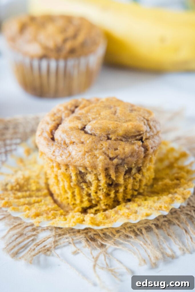 Spiced Pumpkin Banana Muffins 6 A single pumpkin banana muffin with its wrapper removed, showcasing its moist interior.
