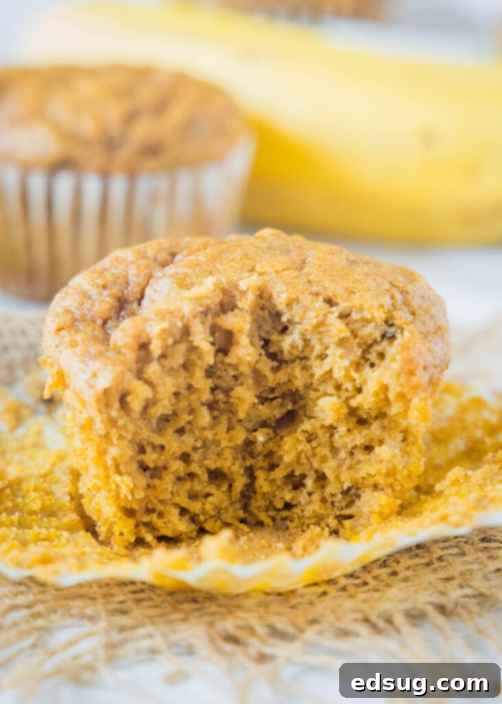Spiced Pumpkin Banana Muffins 7 A pumpkin banana muffin with a bite taken out, revealing its soft and moist texture.
