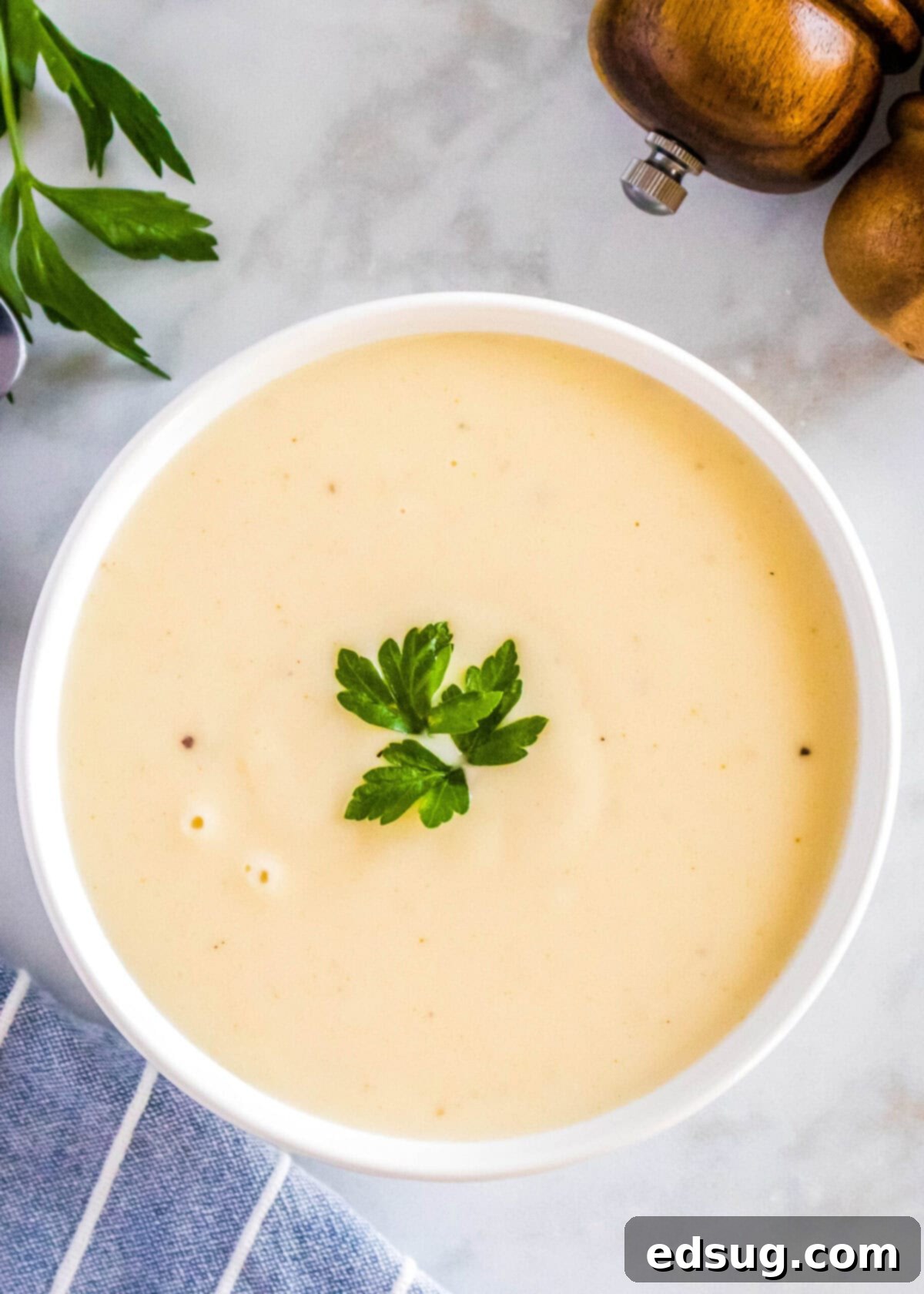 Overhead view of a pristine bowl of homemade cream of chicken soup, perfectly garnished with a single fresh parsley leaf, sitting beside a bunch of vibrant green parsley.
