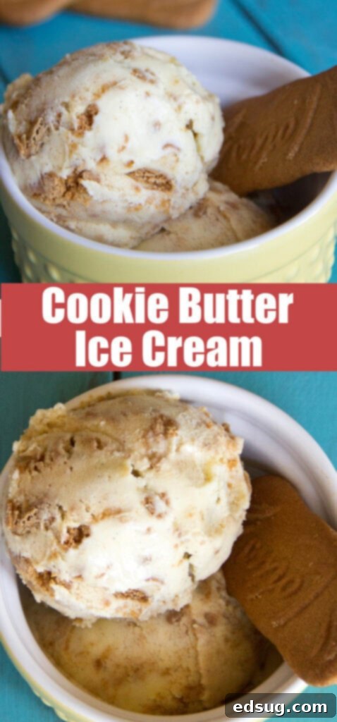 close up of scoops of cookie butter ice cream in a bowl