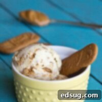 biscoff ice cream in a bowl