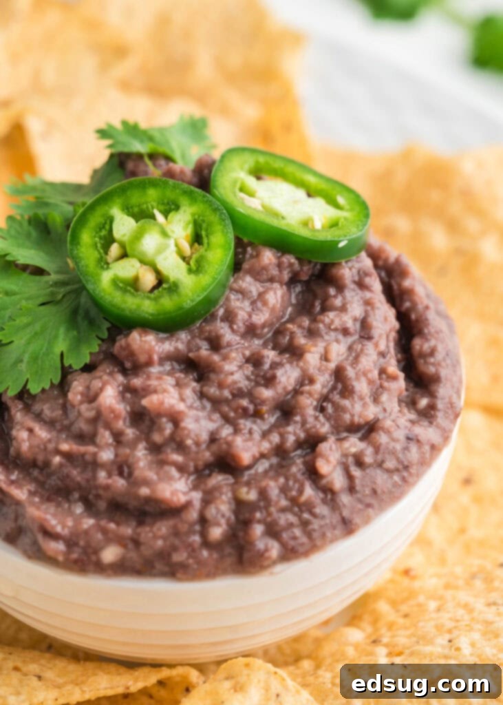 black bean dip in a bowl with tortilla chips around it