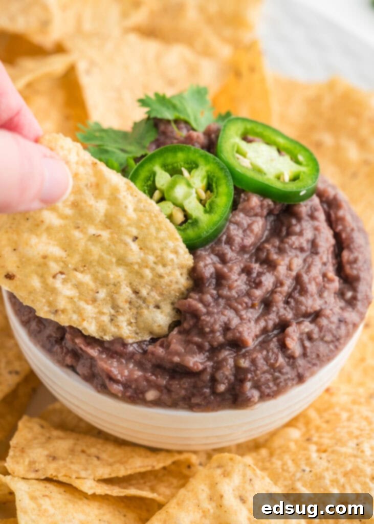 a chip in black bean dip