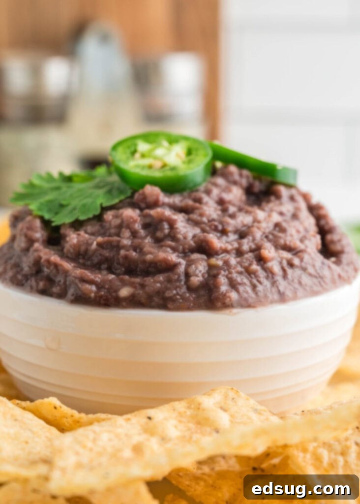 a bowl of black bean dip with tortilla chips around it