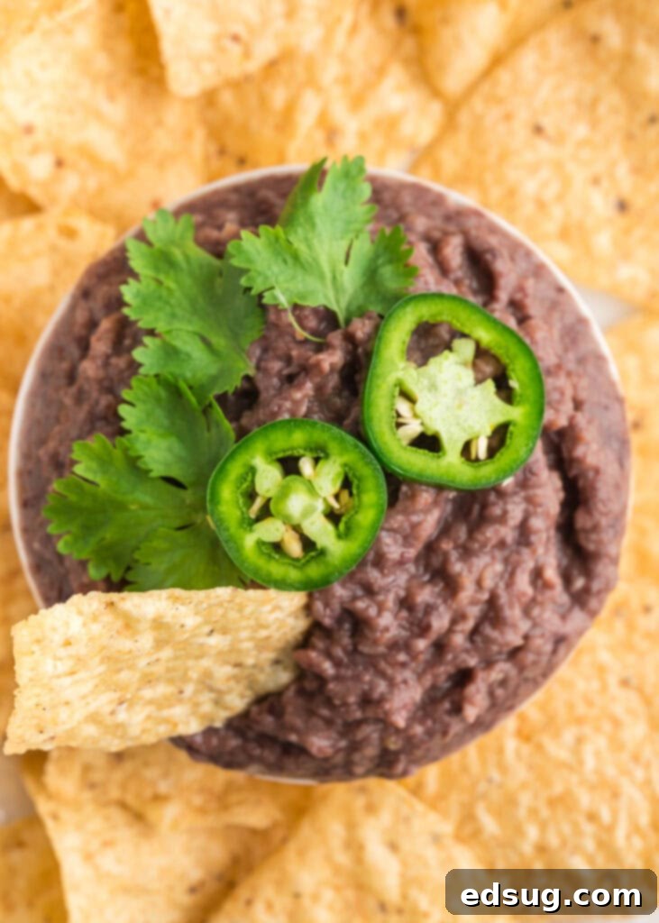 looking down on a bowl of black bean dip