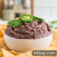 cropped close up black bean dip in a bowl