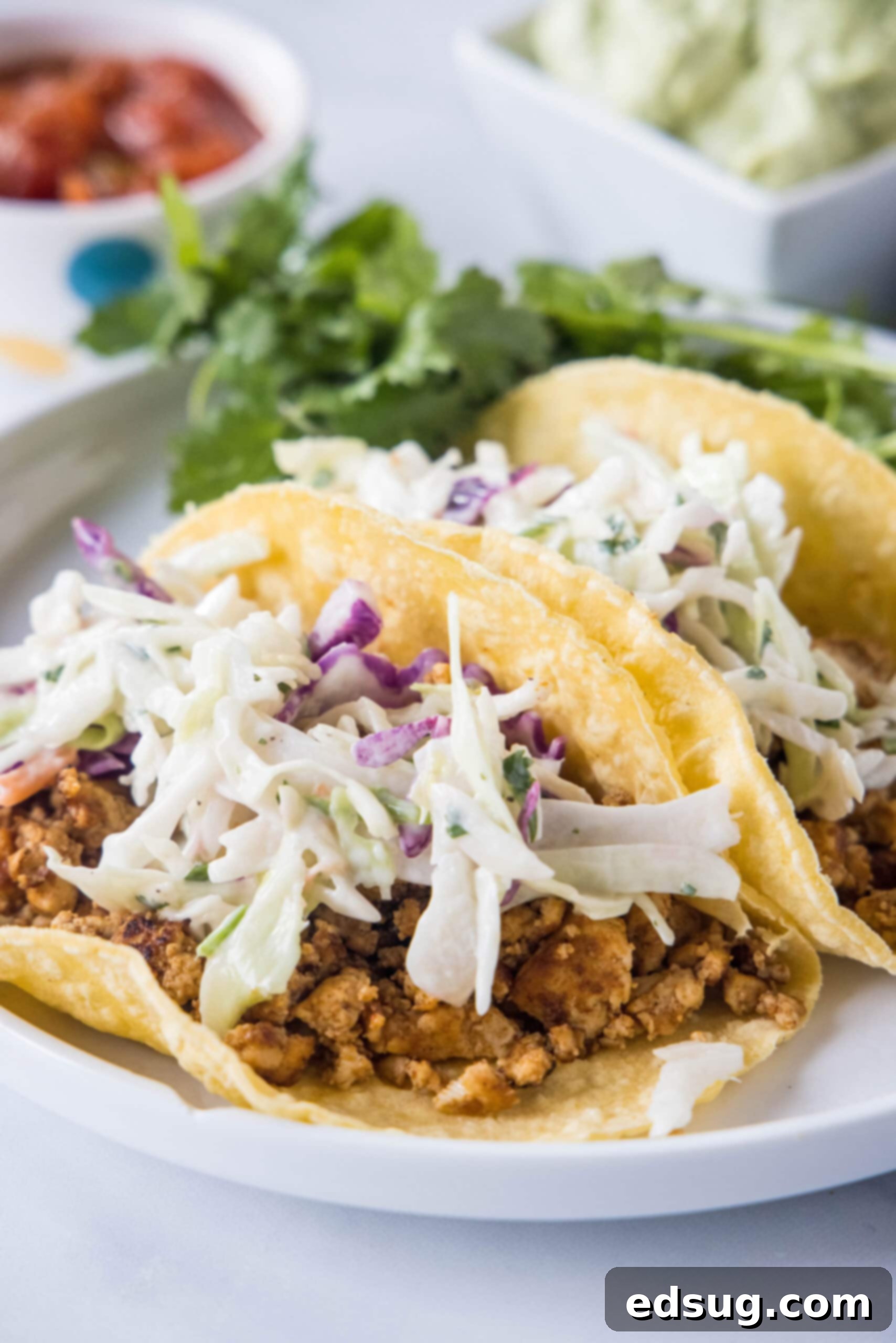 Two vibrant tofu tacos, generously topped with fresh Mexican coleslaw and a drizzle of creamy avocado dressing, served on a crisp white plate.