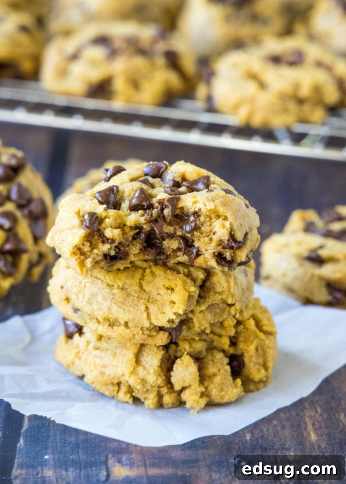 Spiced Chewy Pumpkin Chocolate Chip Cookies 2 Stack of thick, chewy pumpkin chocolate chip cookies with a bite taken out of one, showcasing the texture