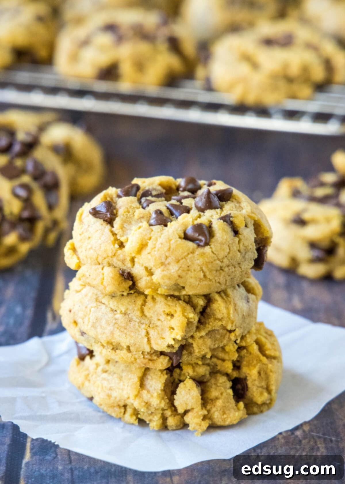 Spiced Chewy Pumpkin Chocolate Chip Cookies 7 Freshly baked pumpkin chocolate chip cookies stacked neatly on a wooden table
