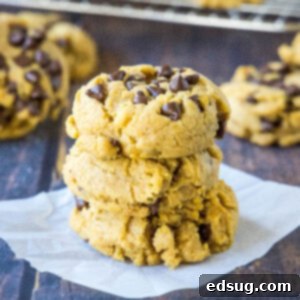 Spiced Chewy Pumpkin Chocolate Chip Cookies 8 Close up stack of chewy pumpkin chocolate chip cookies