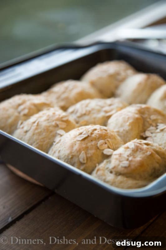 Close-up of golden brown buttermilk oat rolls baking in a rectangular pan, ready to be pulled from the oven.