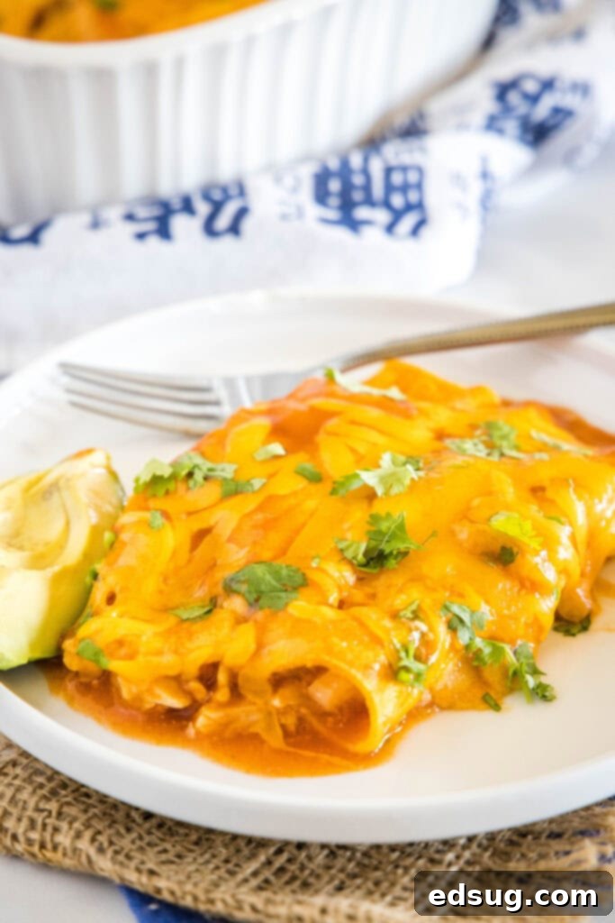 Two turkey enchiladas on a white plate, garnished for serving