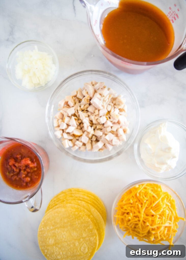 A collection of fresh ingredients laid out for making turkey enchiladas