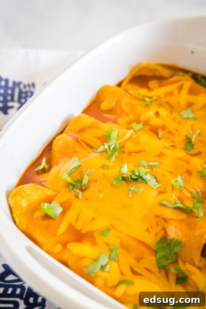 A pan of delicious turkey enchiladas, hot and ready to serve