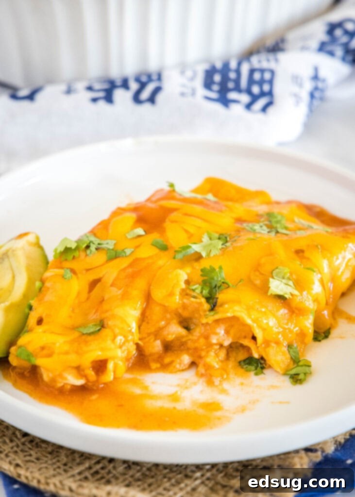 A plate of turkey enchiladas with one having a bite taken out, showing the filling