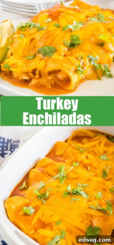 Close up of two turkey enchiladas on a white plate, showcasing the melted cheese and sauce