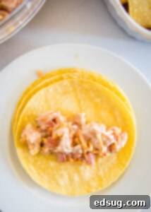 filling on a corn tortilla ready to roll into an enchilada