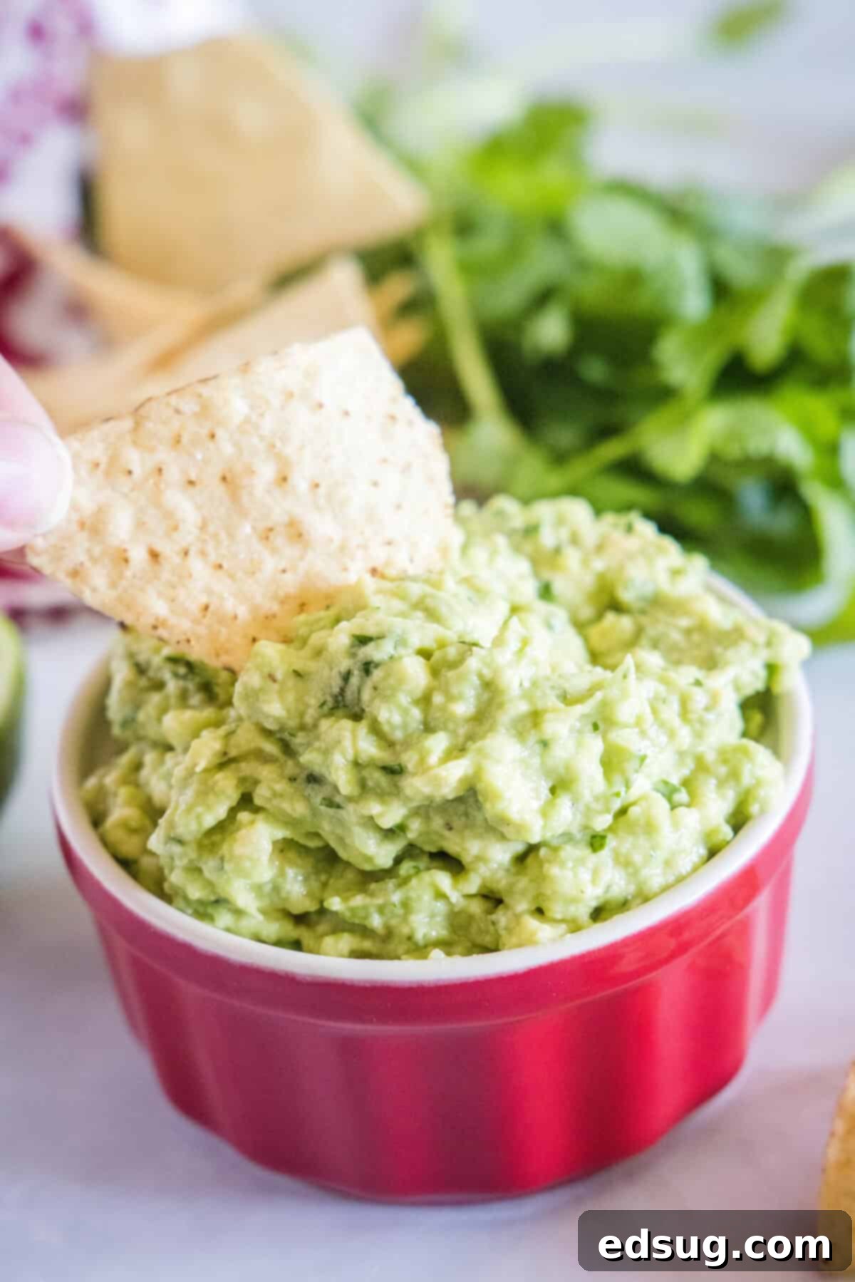 dipping a chip in roasted garlic guacamole