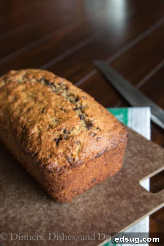 slices of whole wheat chocolate chip banana bread on a rustic plate