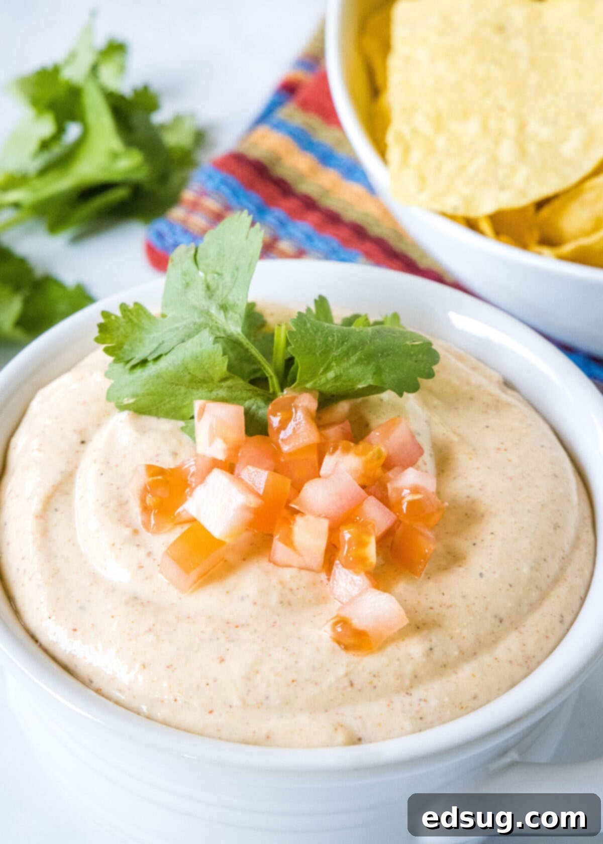 a bowl of high protein queso in a white bowl, garnished with fresh cilantro and diced tomatoes