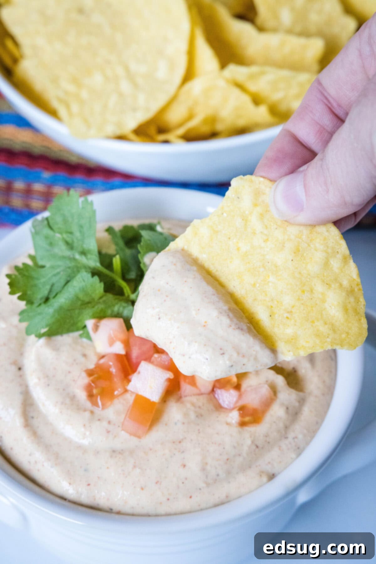 close-up shot of a tortilla chip being dipped into high protein queso, garnished with cilantro and tomatoes