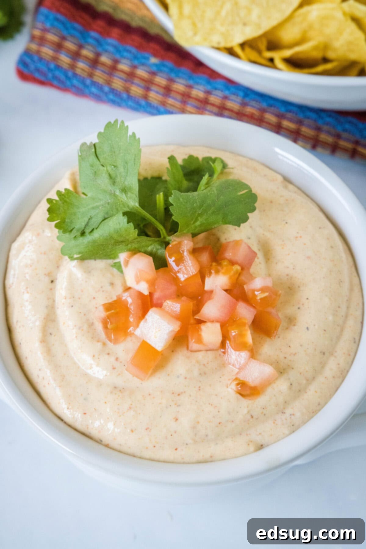 overhead shot of a large bowl of cottage cheese queso with tortilla chips, fresh cilantro, and diced tomatoes