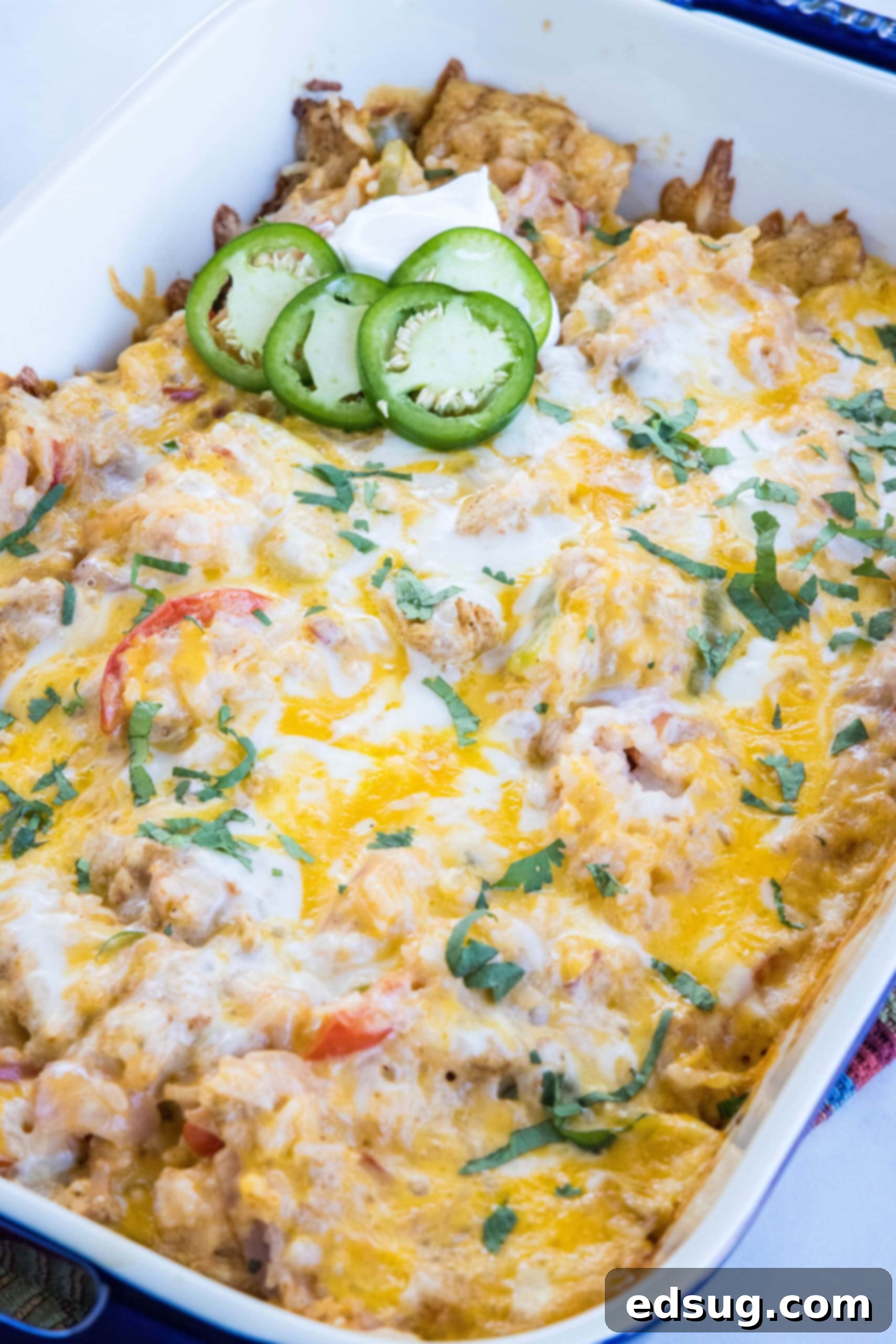 Baked chicken fajita casserole garnished with vibrant sliced jalapeños and fresh cilantro in a baking dish.