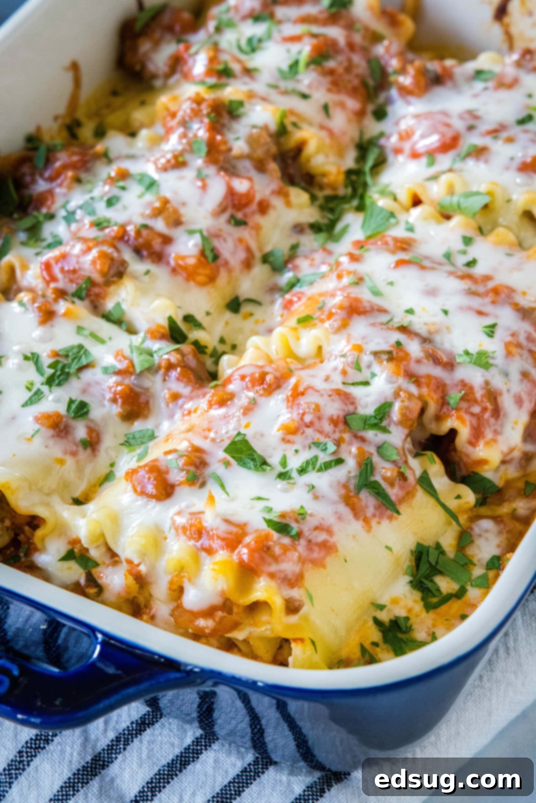 Lasagna roll ups in a baking dish.