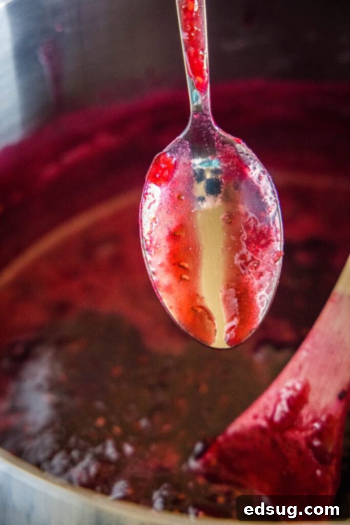 Berry Medley Jam 6 A chilled spoon with a dollop of mixed berry jam, demonstrating the wrinkle test for doneness.