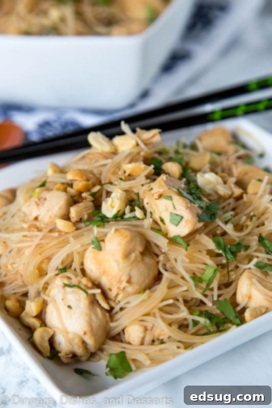 A plate of asian noodles with chicken and peanuts