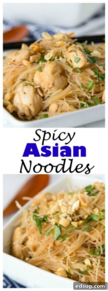 asian noodles with chicken in a bowl topped with peanuts